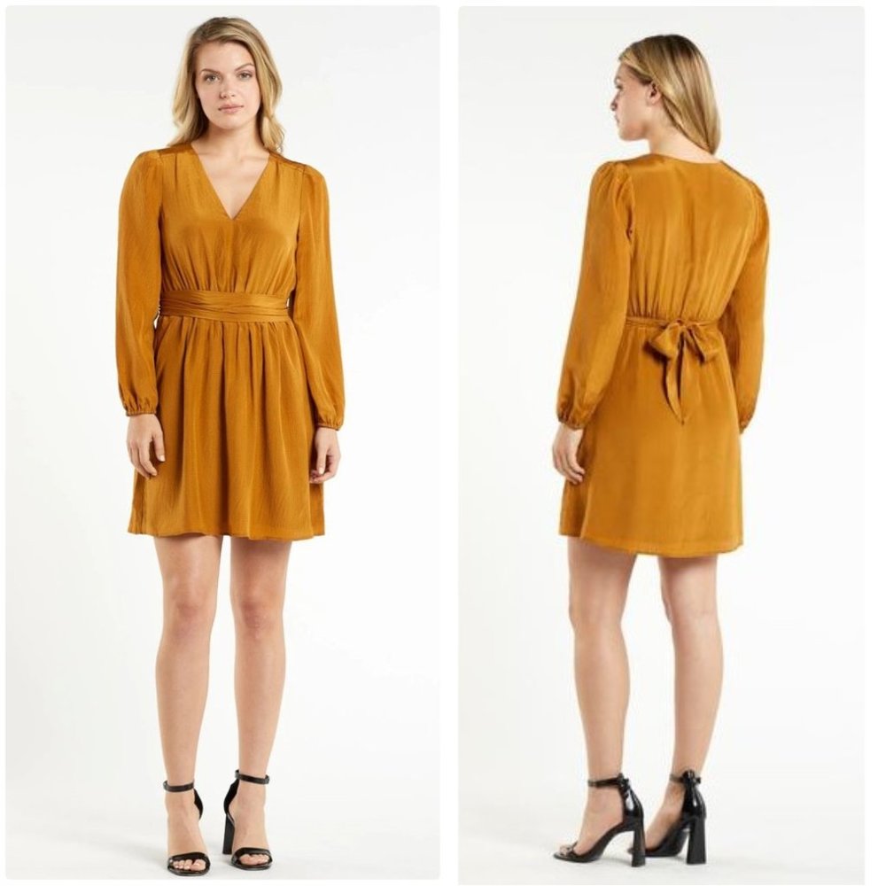 Marie Oliver ronan silk dress - Picture 1 of 6